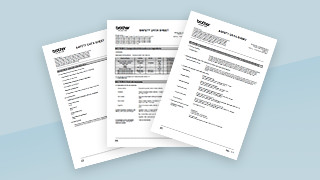 Safety Data Sheets (SDS)